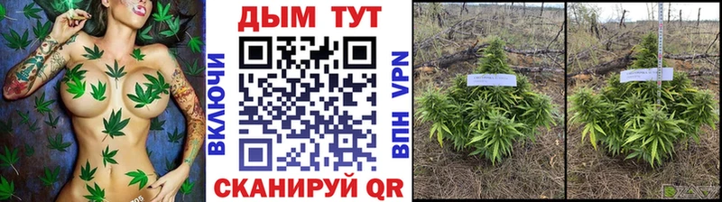 Канабис Bruce Banner  закладка  Нижнекамск 